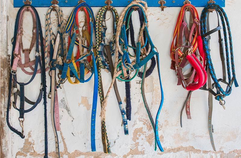 HORSE HEADSTALL SET